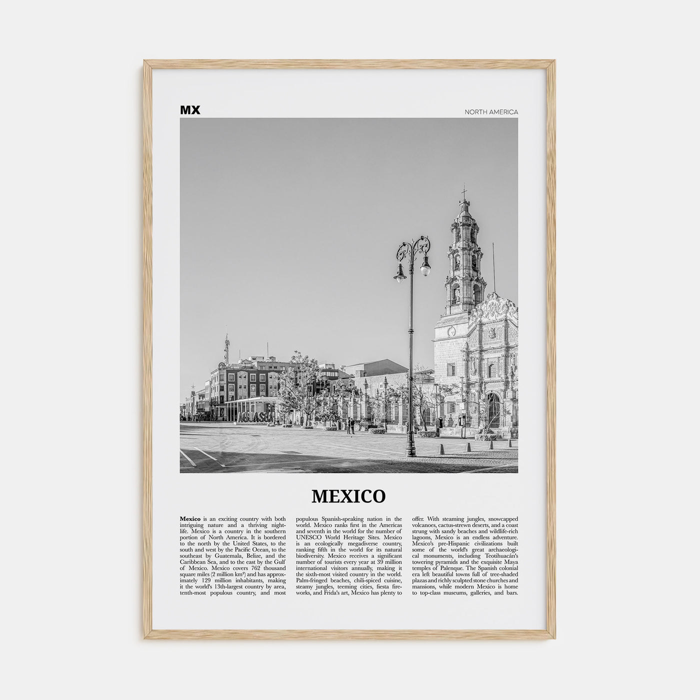 Mexico Travel B&W No 4 Poster