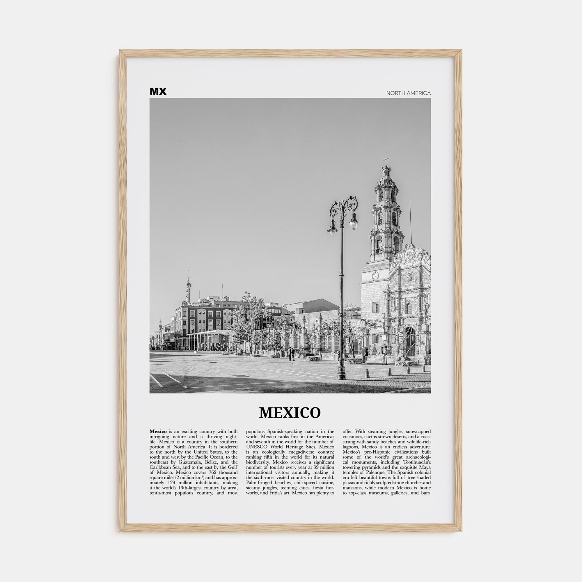 Mexico Travel B&W No 4 Poster