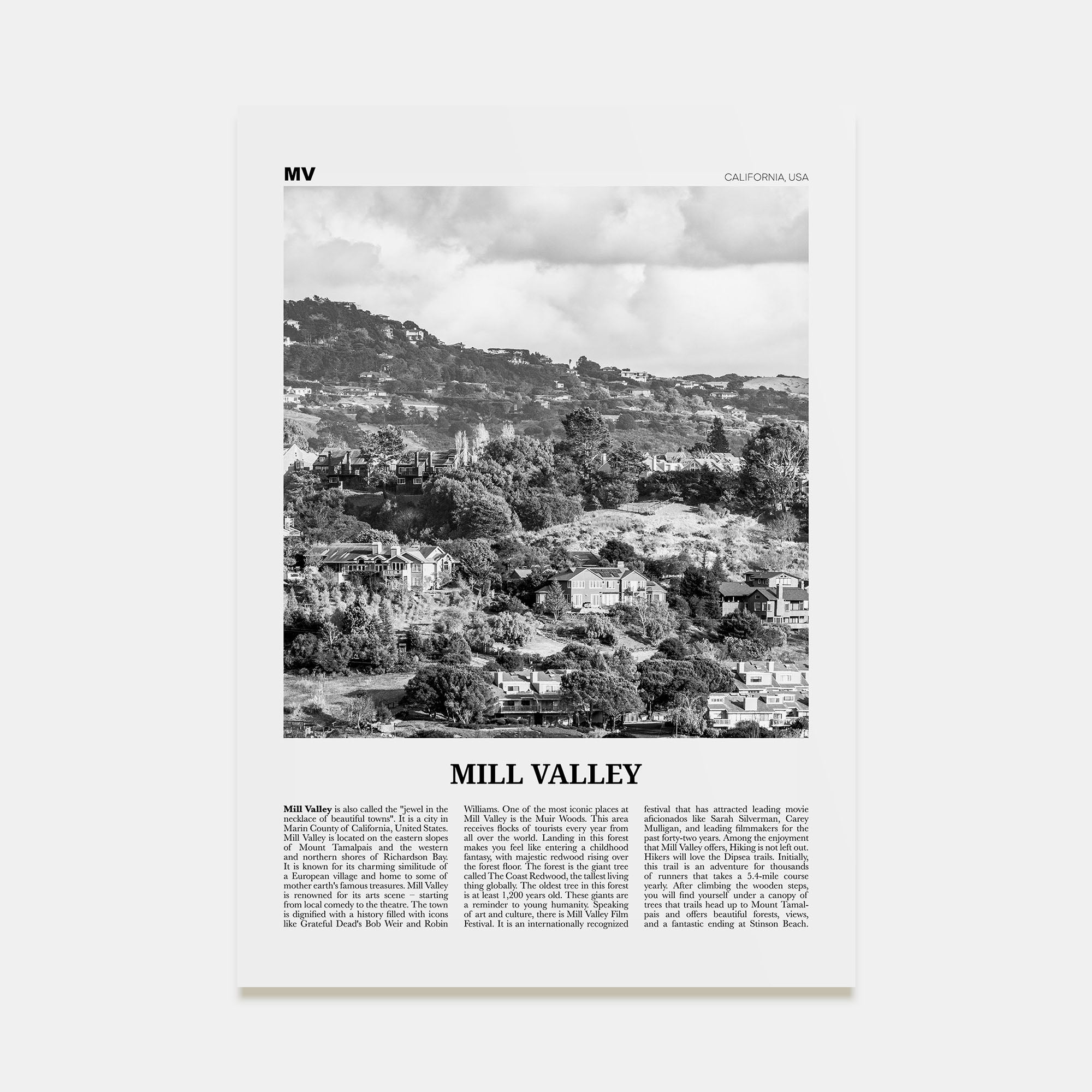 Mill Valley Travel B&W Poster