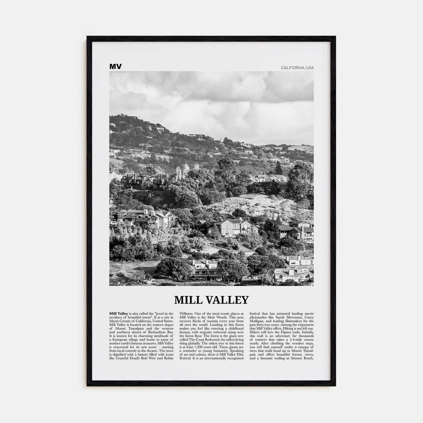Mill Valley Travel B&W Poster