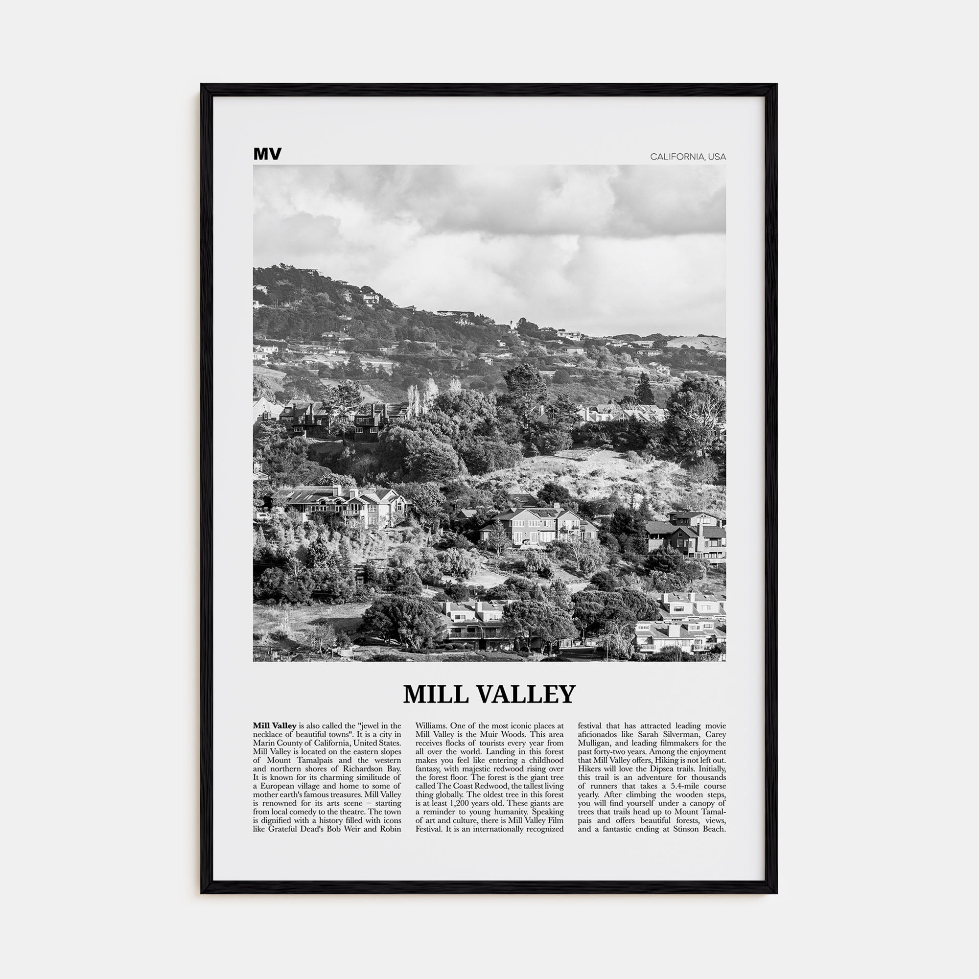 Mill Valley Travel B&W Poster