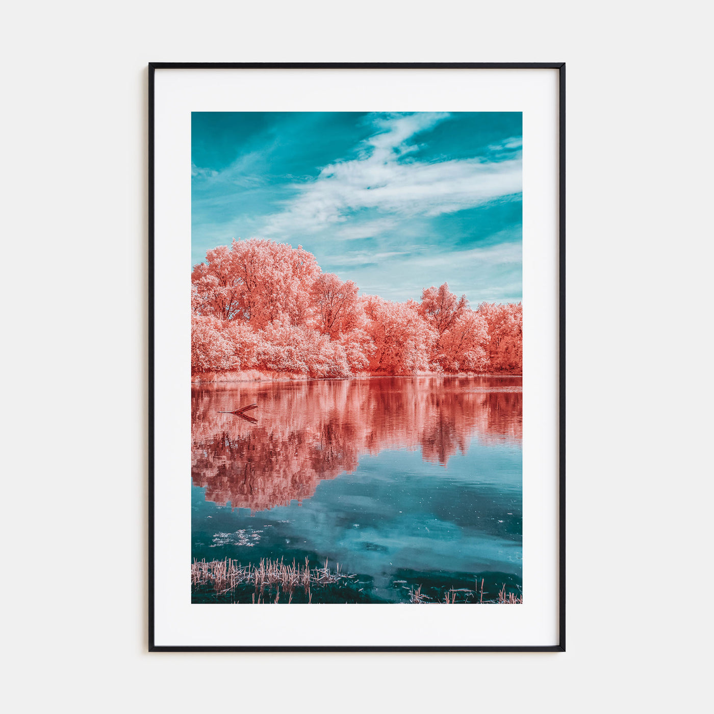 Minnesota Photo Color No 3 Poster