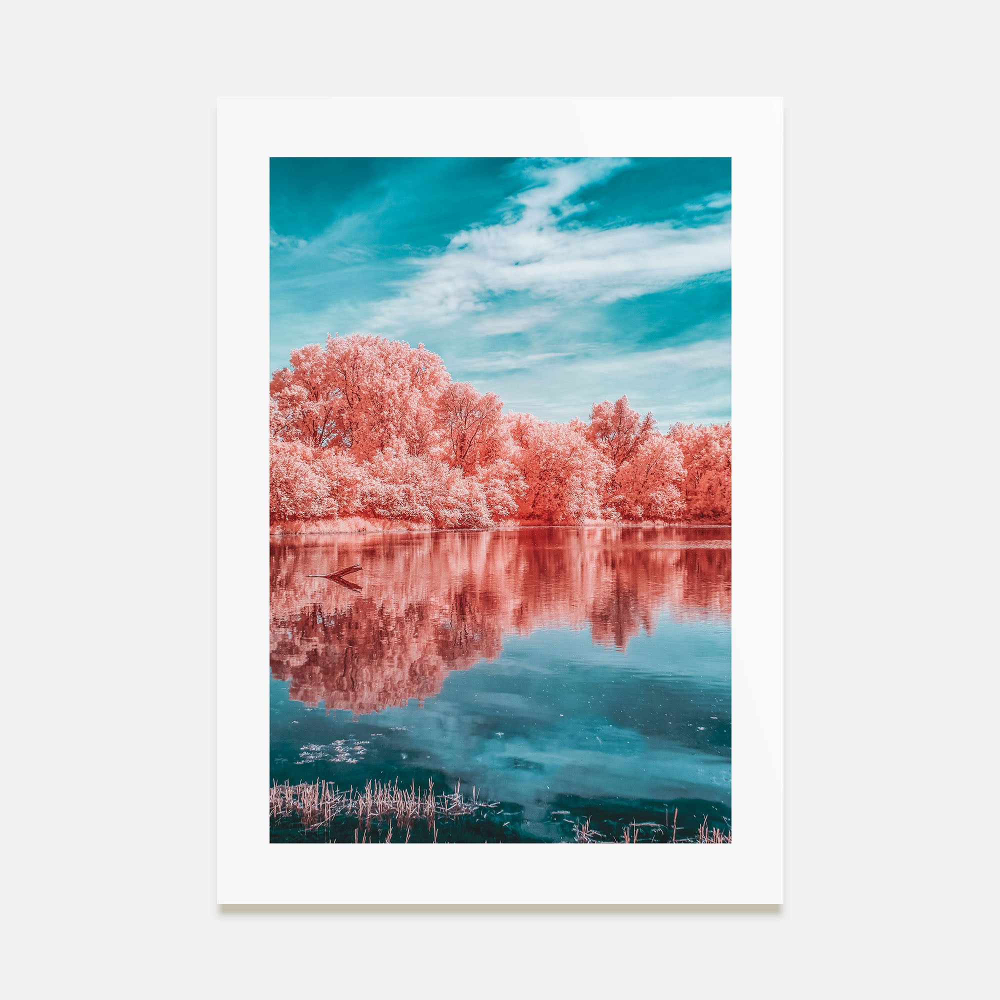 Minnesota Photo Color No 3 Poster