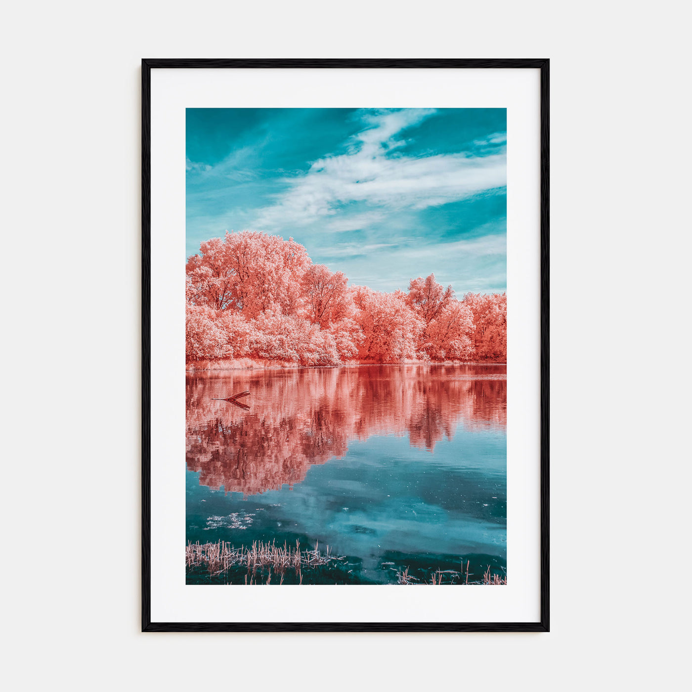 Minnesota Photo Color No 3 Poster