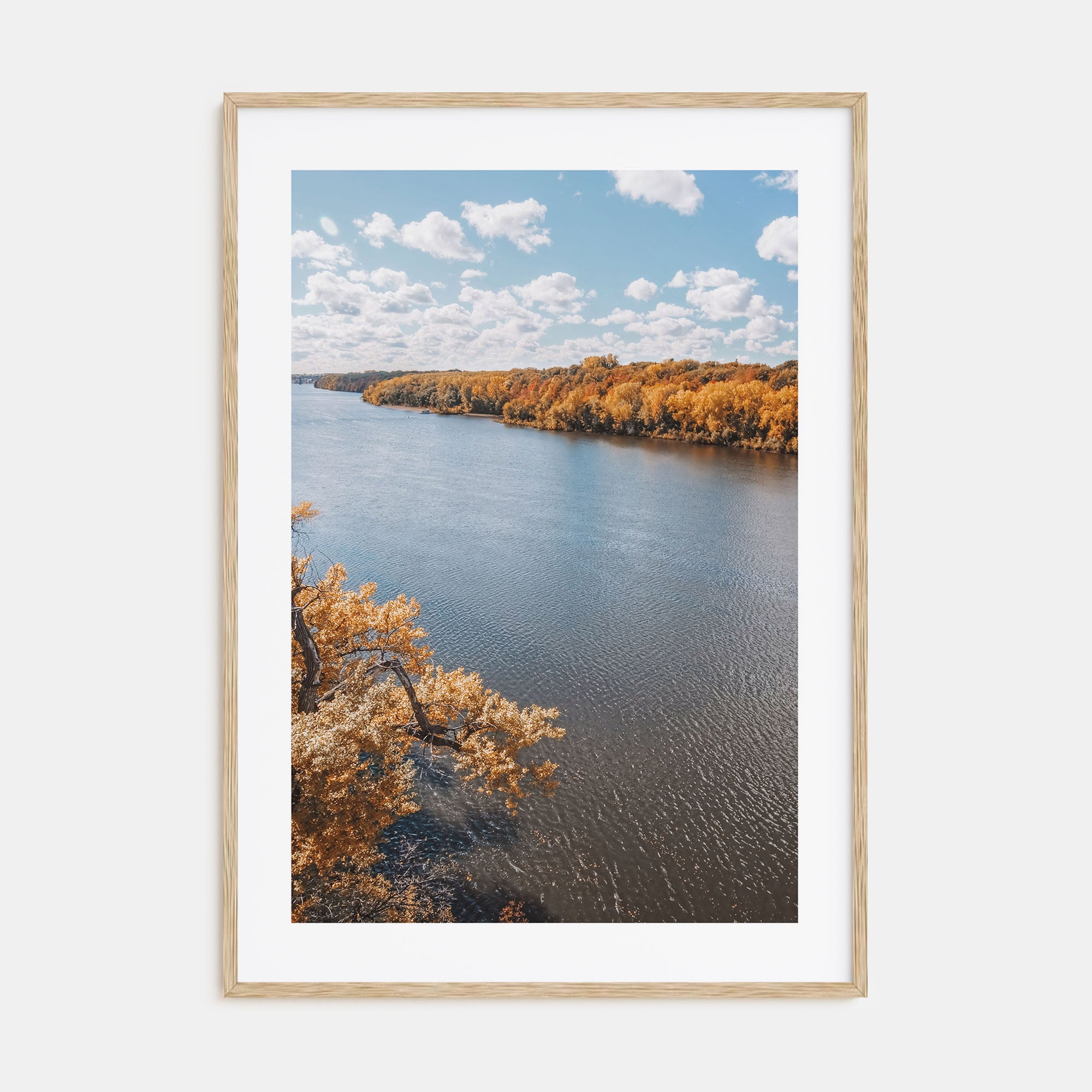 Mississippi Photo Color Poster