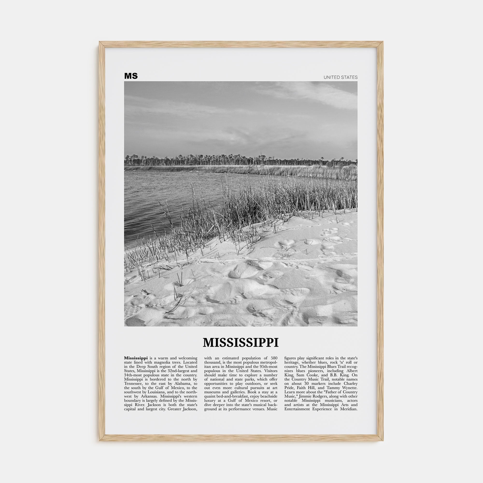 Mississippi Travel B&W No 2 Poster