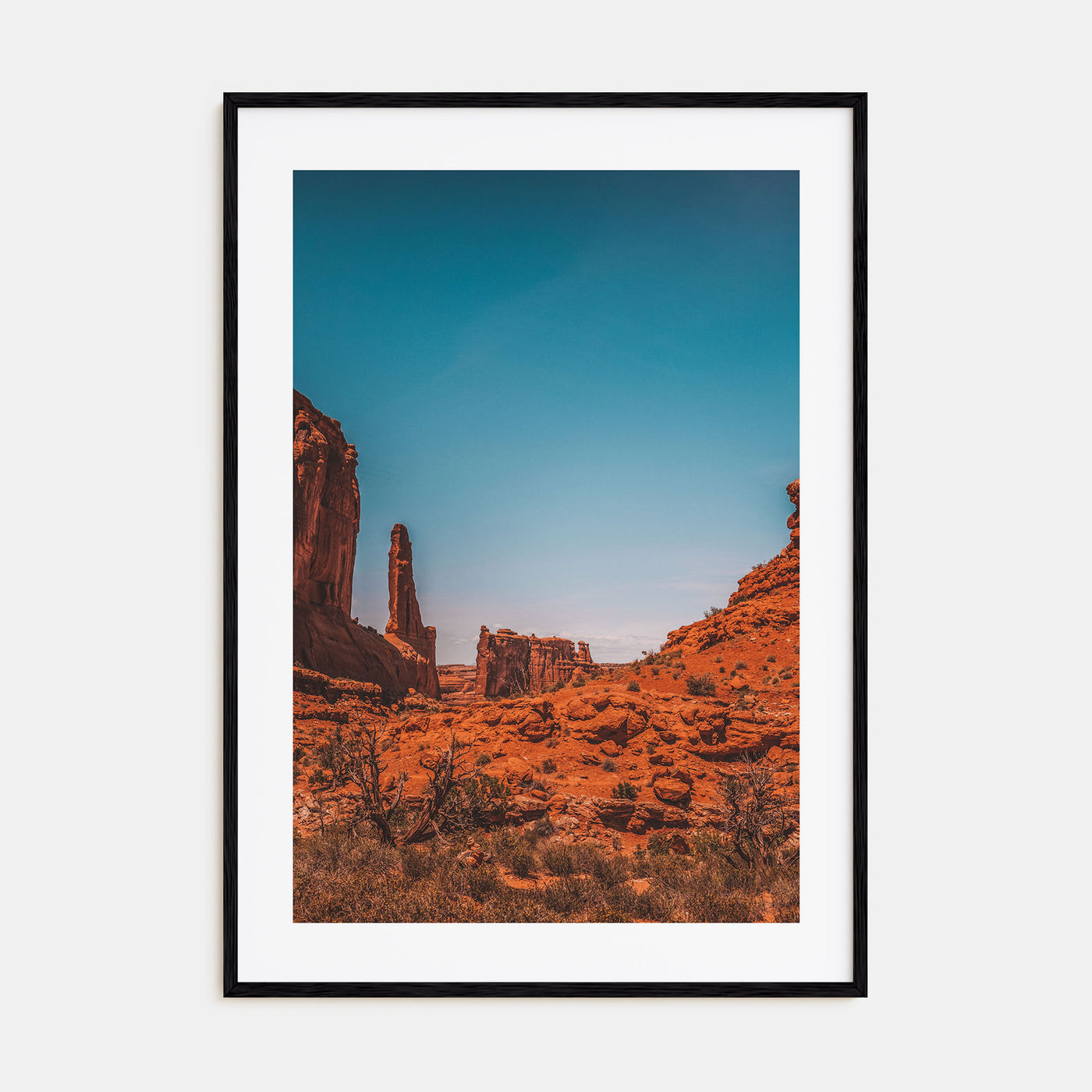 Moab Photo Color Poster