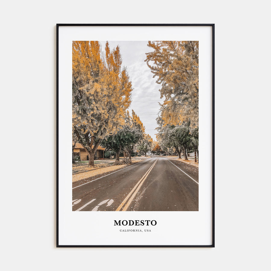 Modesto Portrait Color Poster
