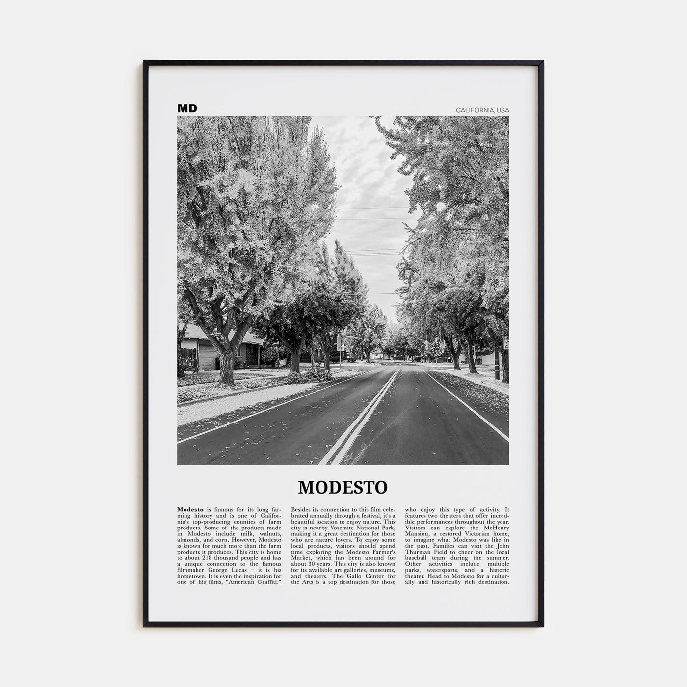 Modesto Travel B&W Poster