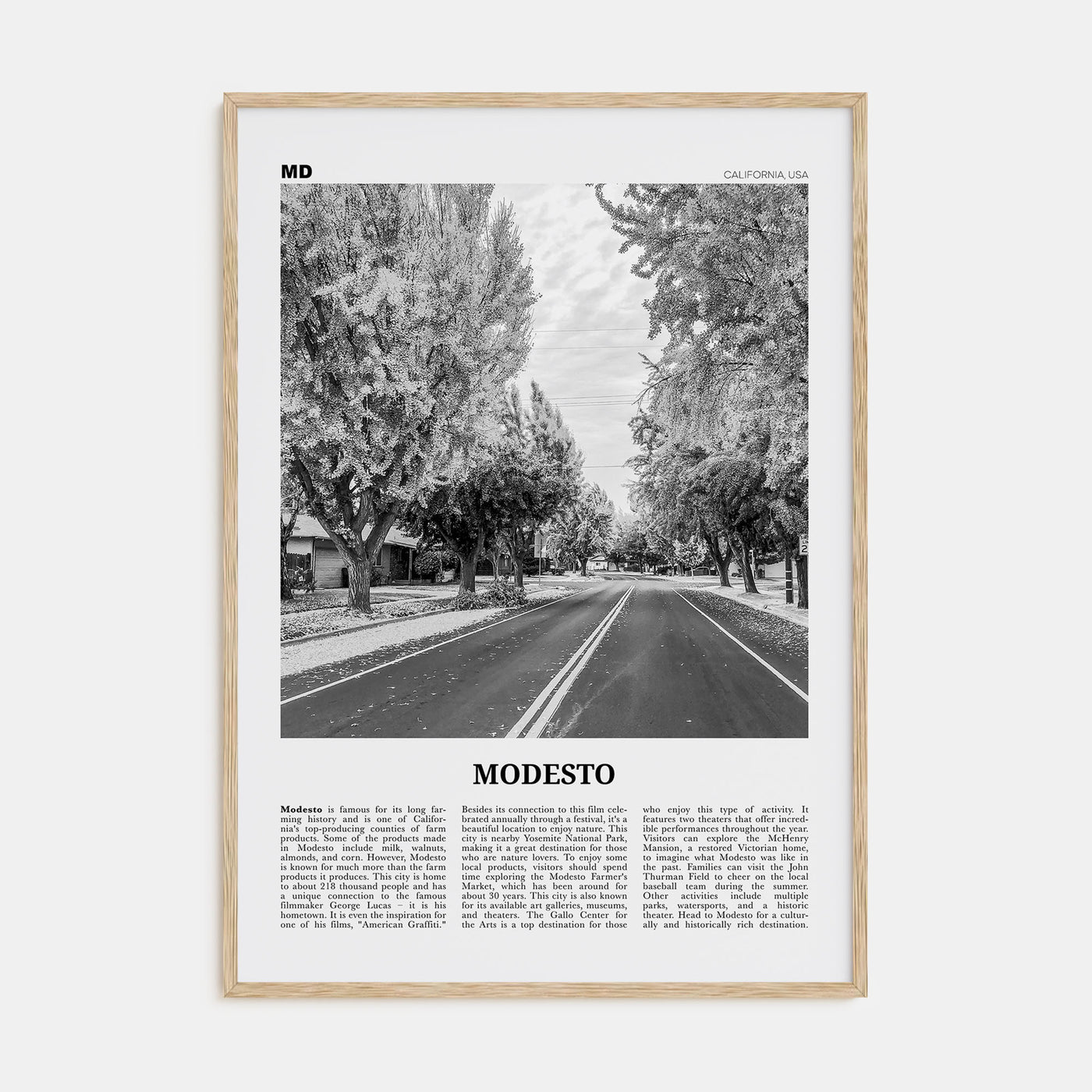 Modesto Travel B&W Poster