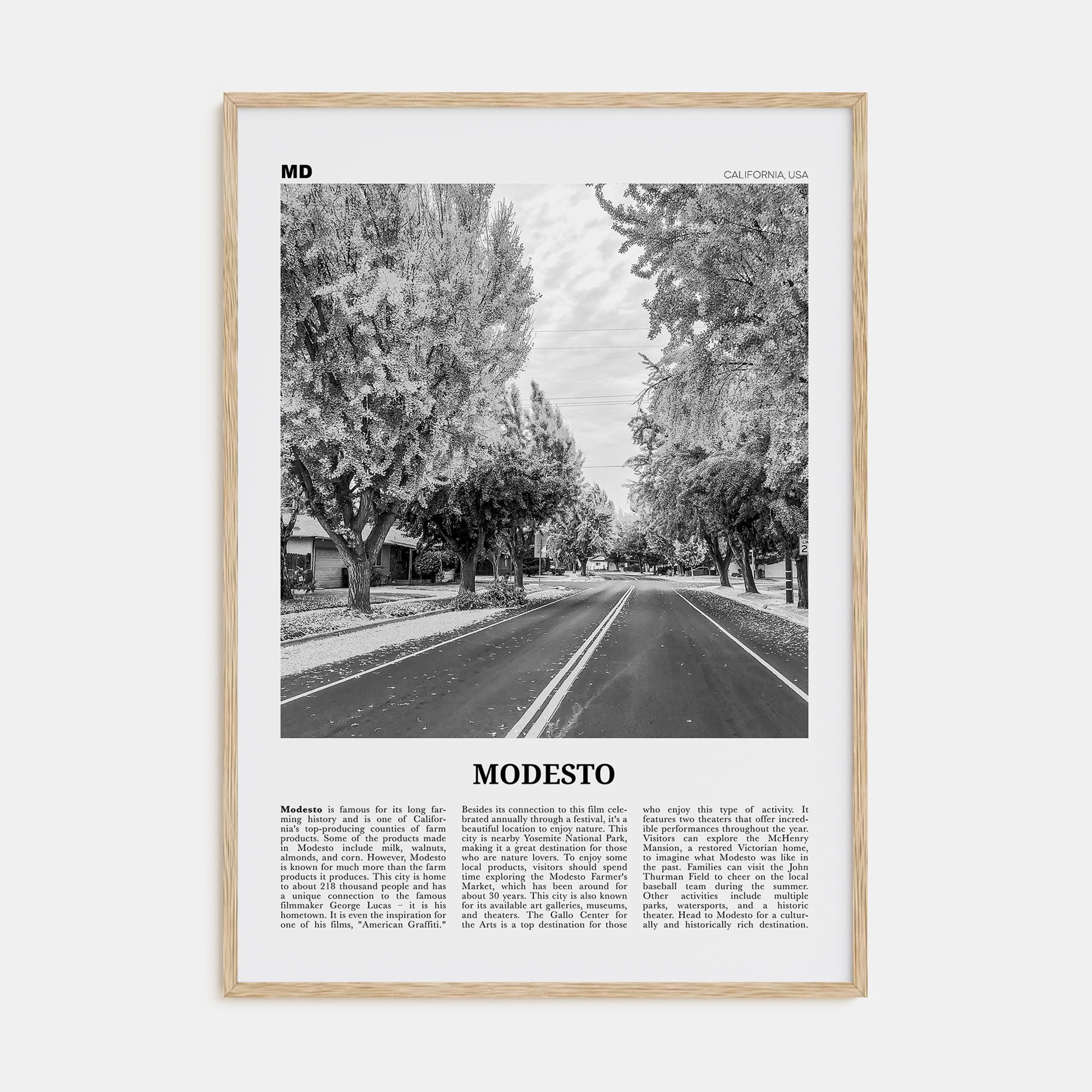 Modesto Travel B&W Poster