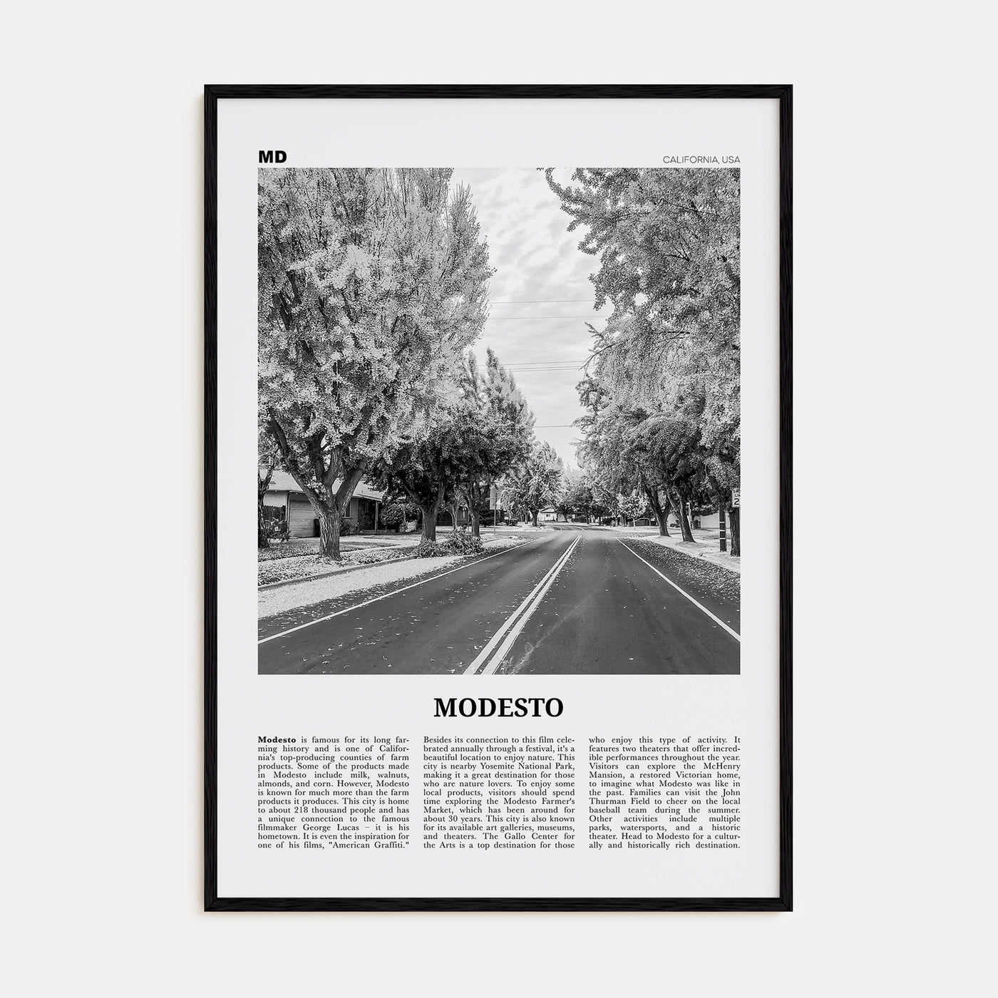 Modesto Travel B&W Poster