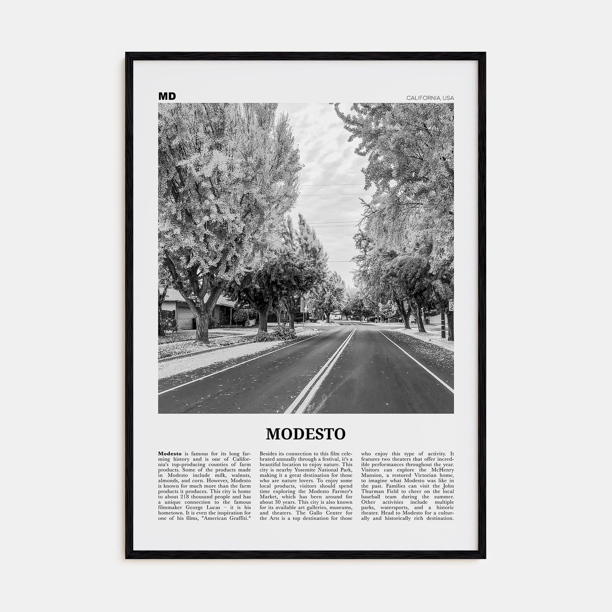 Modesto Travel B&W Poster