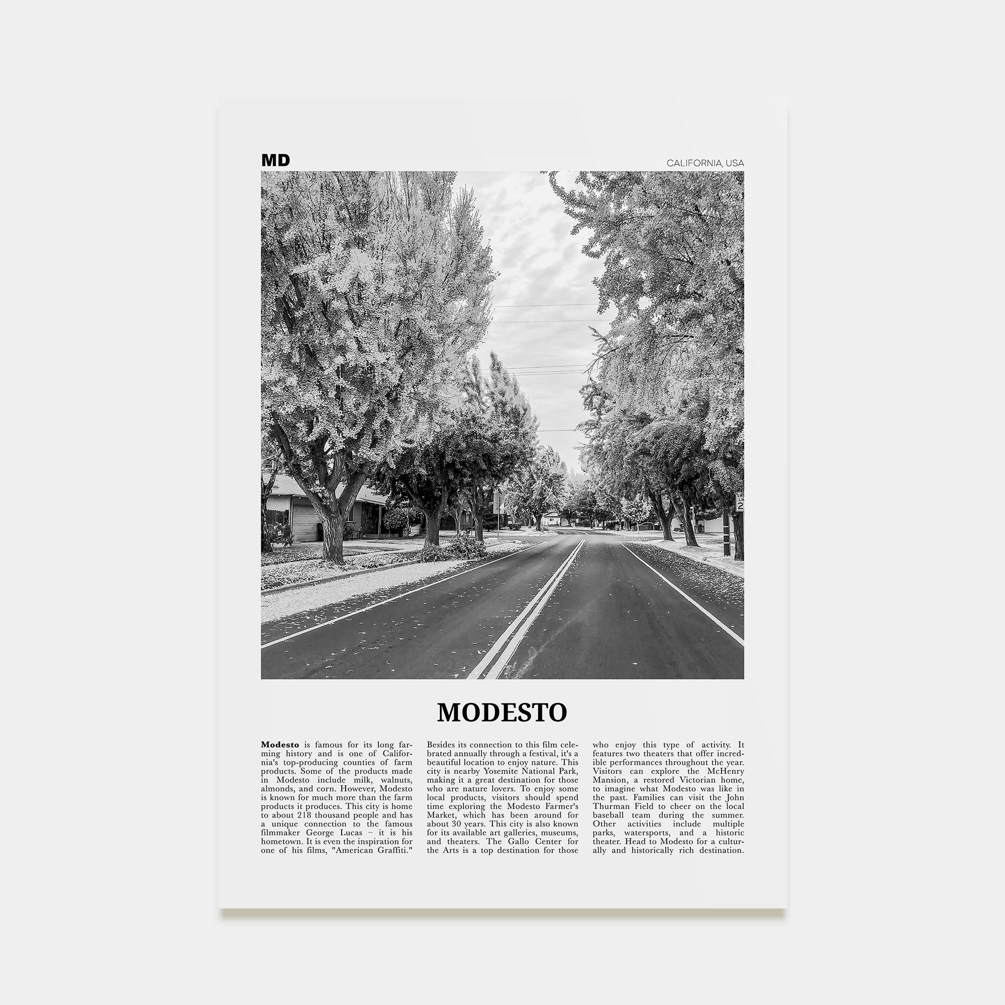 Modesto Travel B&W Poster