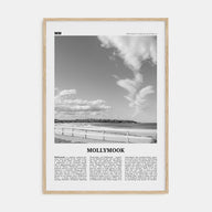 Mollymook Travel B&W Poster