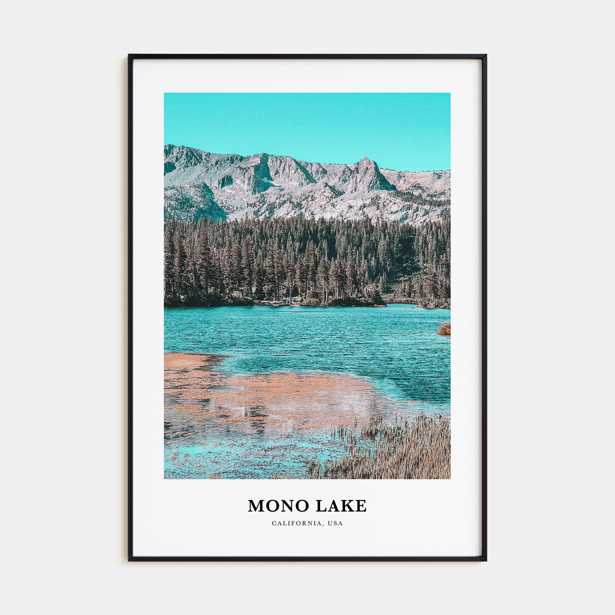 Mono Lake Portrait Color Poster