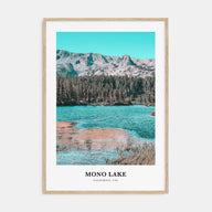 Mono Lake Portrait Color Poster