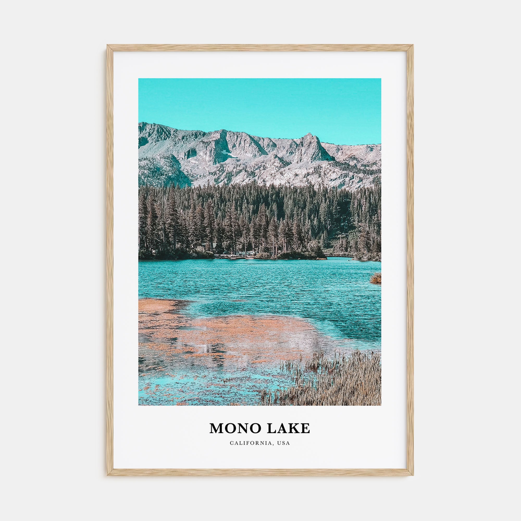 Mono Lake Portrait Color Poster