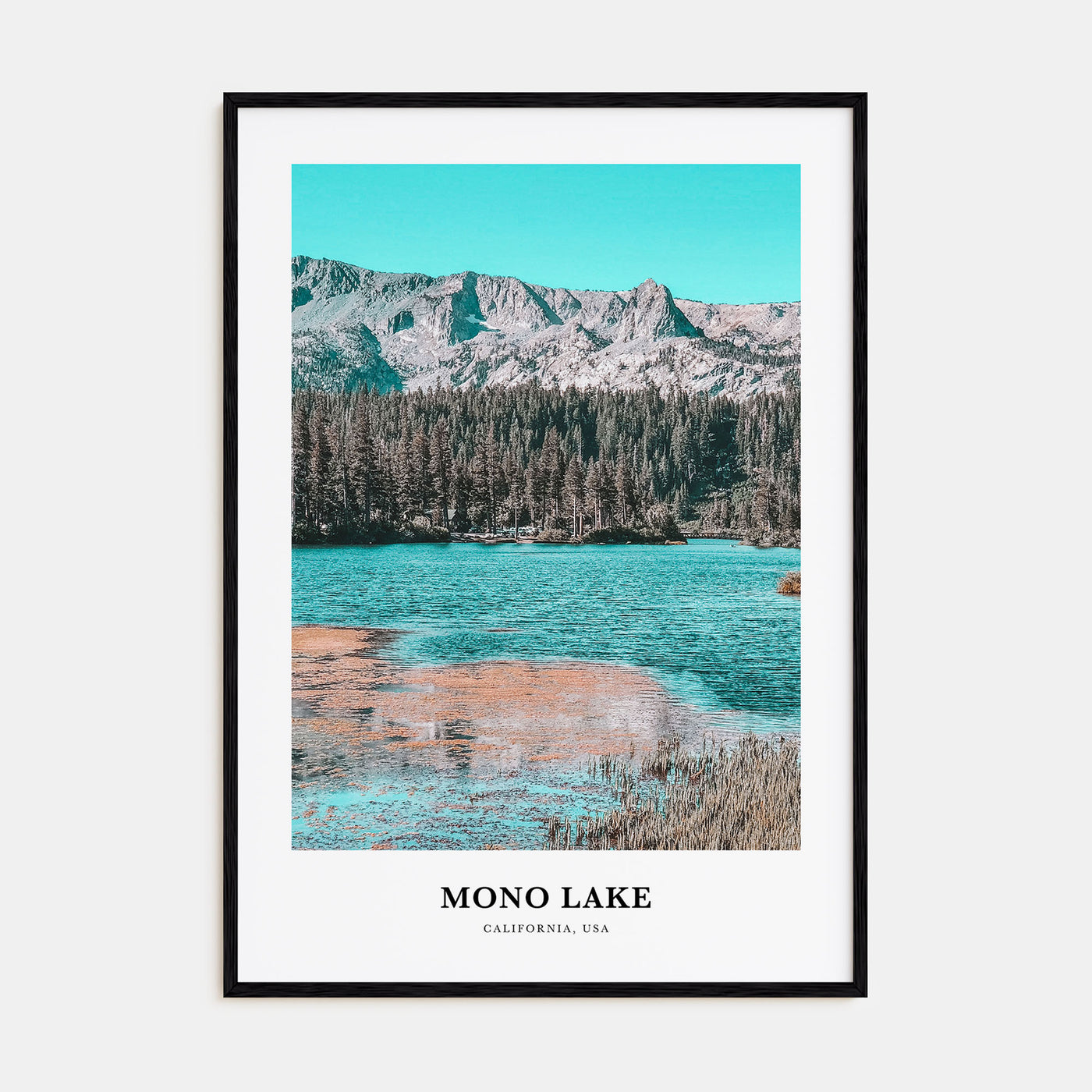 Mono Lake Portrait Color Poster