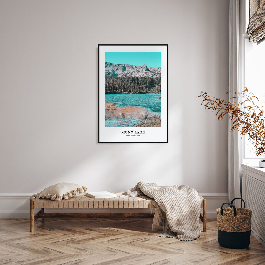 Mono Lake Portrait Color Poster