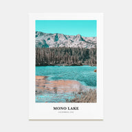 Mono Lake Portrait Color Poster
