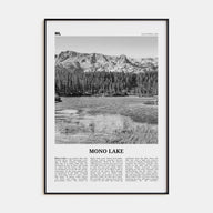 Mono Lake Travel B&W Poster