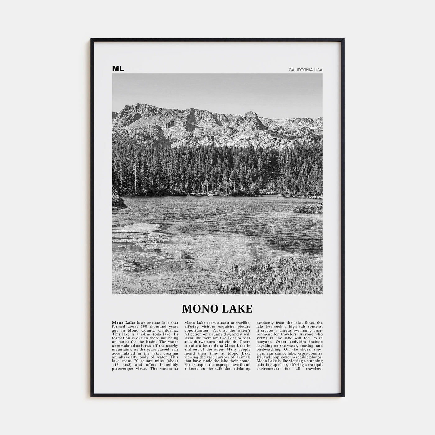 Mono Lake Travel B&W Poster