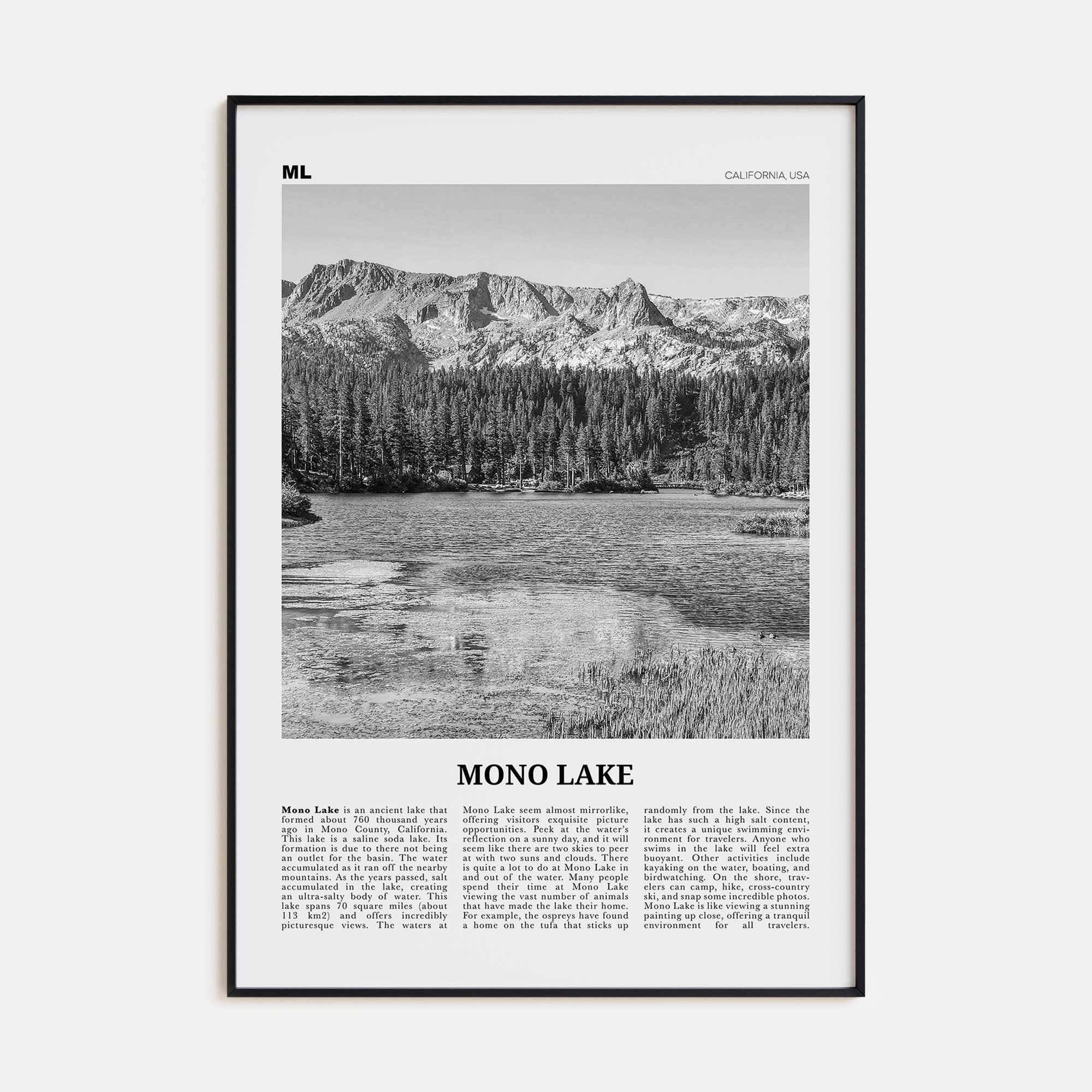 Mono Lake Travel B&W Poster