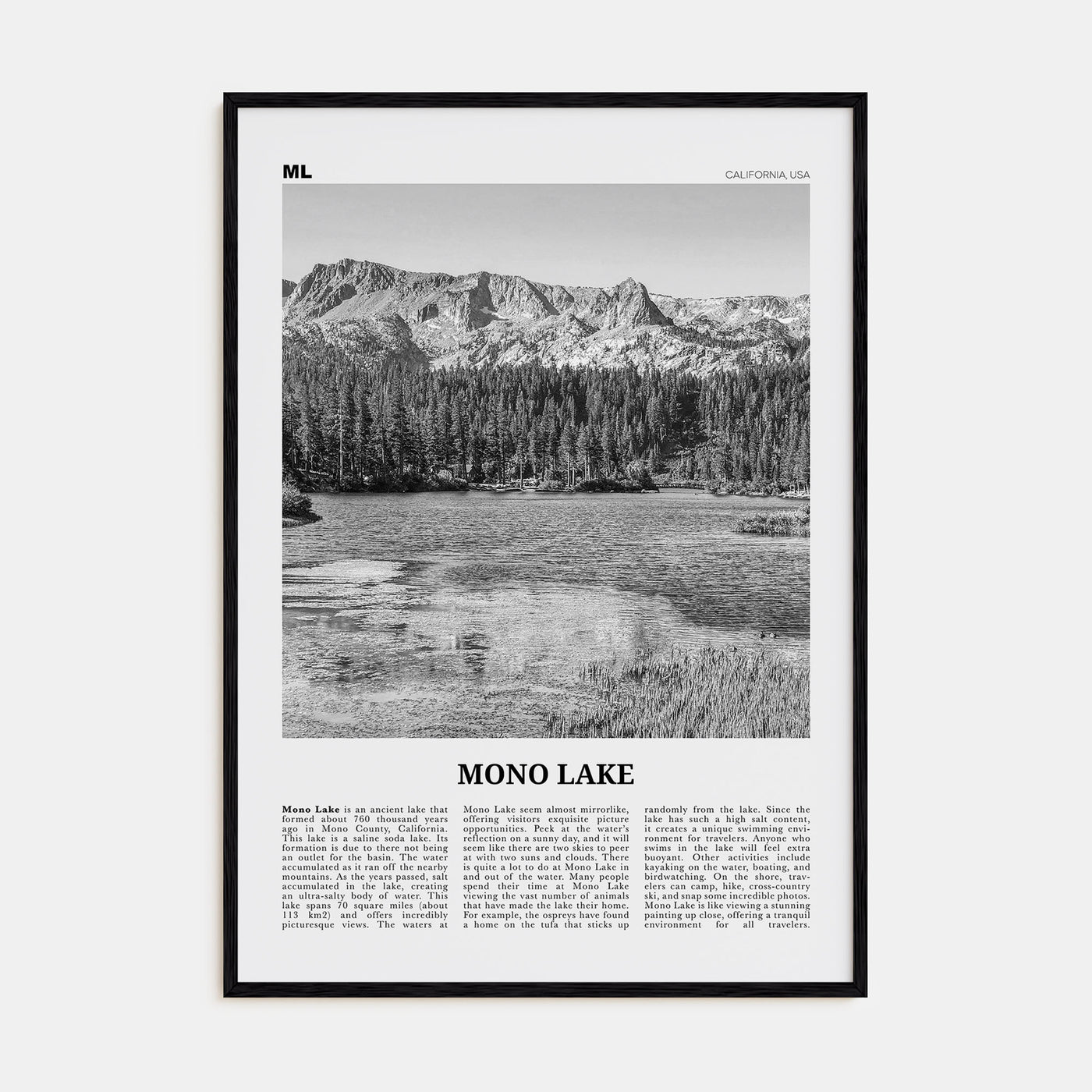 Mono Lake Travel B&W Poster