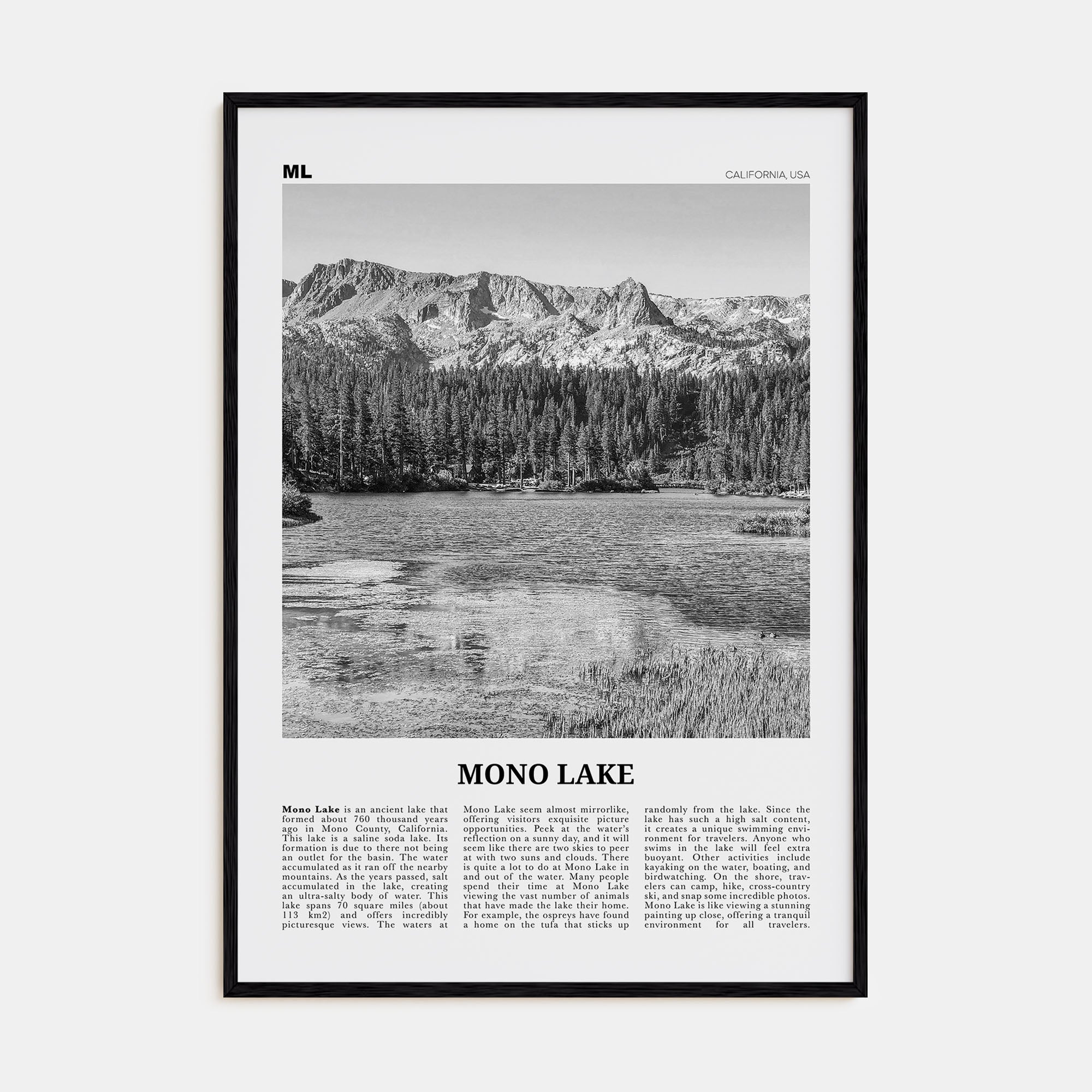 Mono Lake Travel B&W Poster