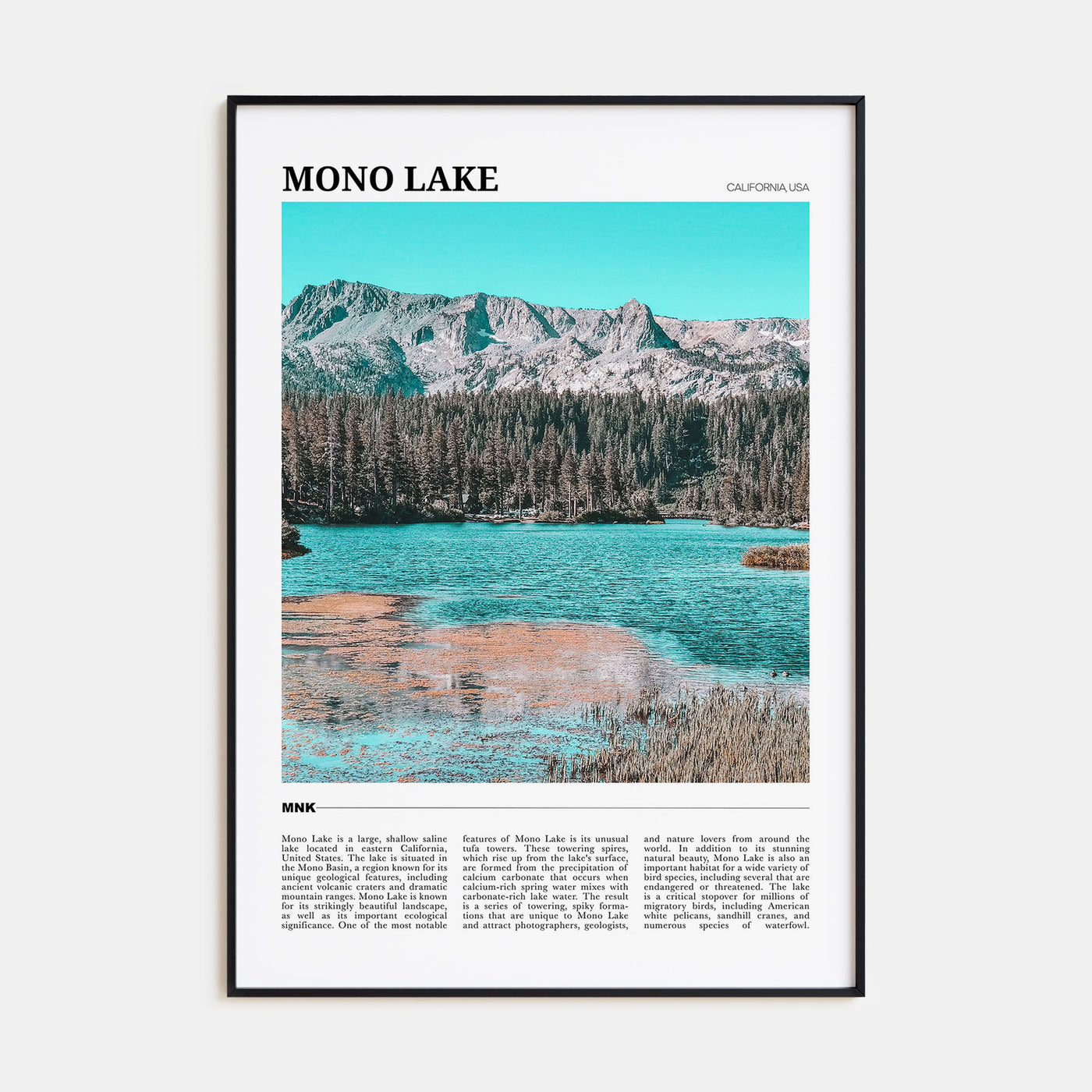 Mono Lake Travel Color Poster