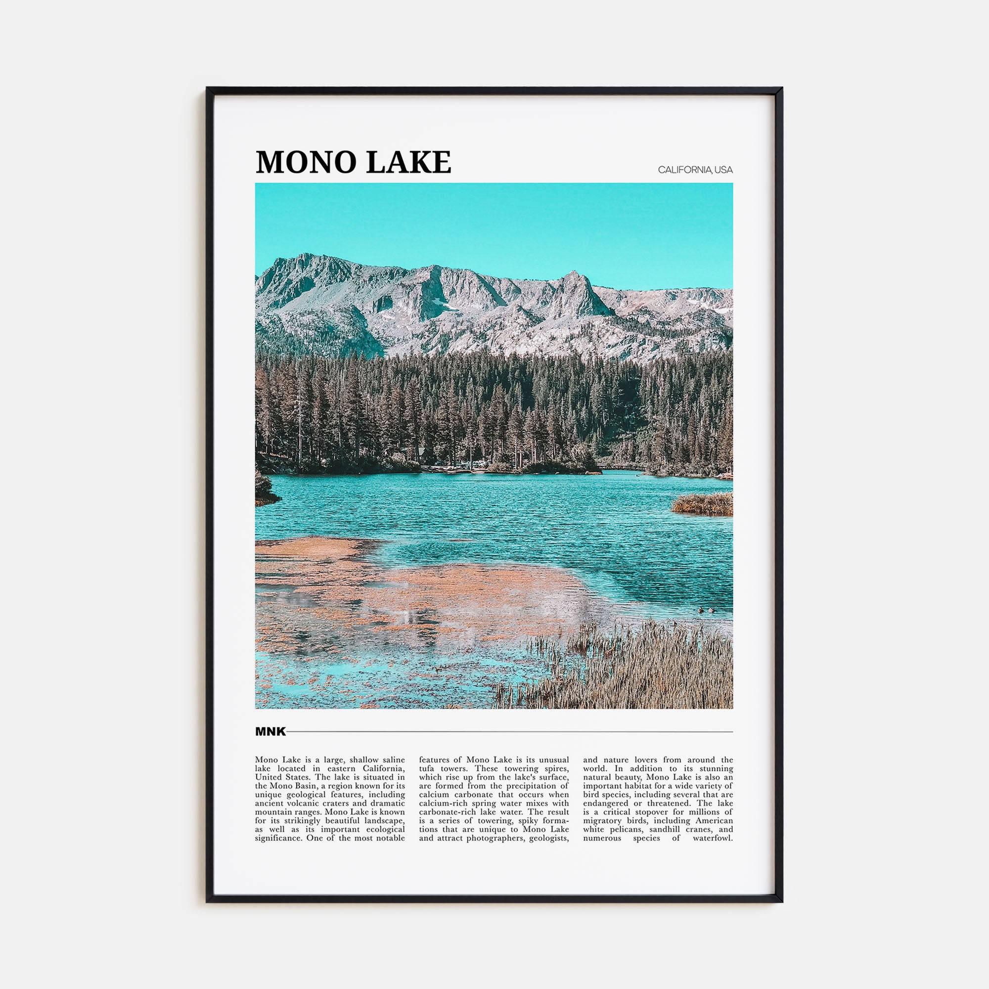 Mono Lake Travel Color Poster