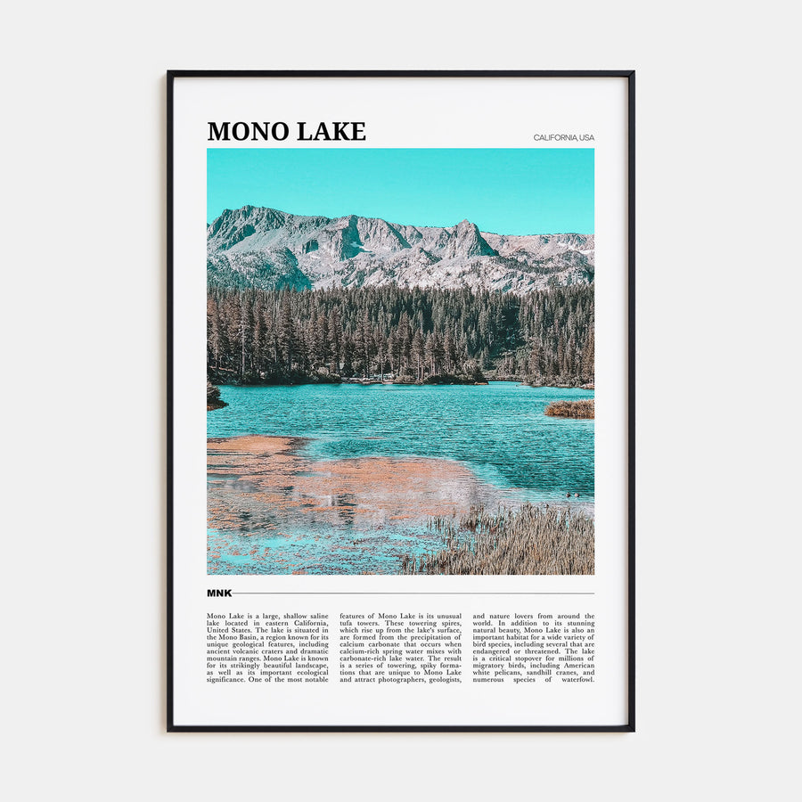 Mono Lake Travel Color Poster