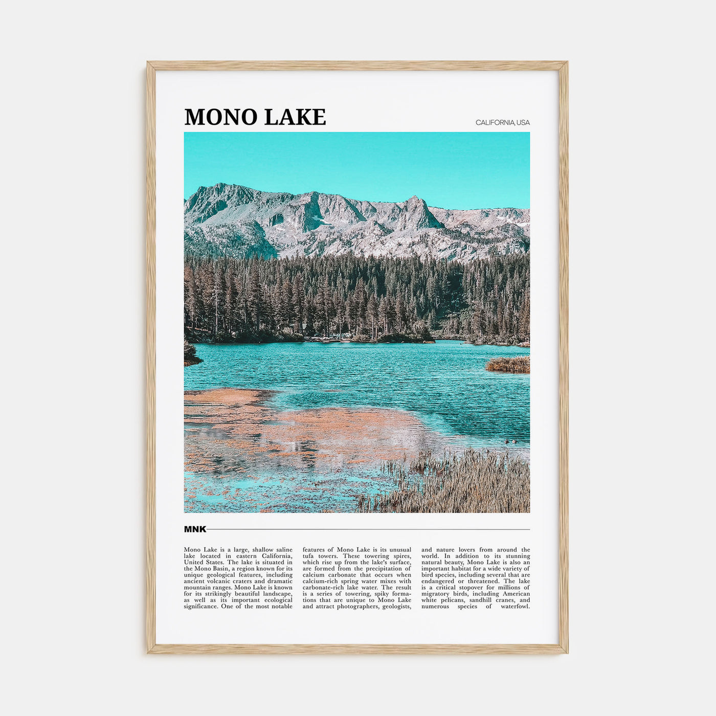 Mono Lake Travel Color Poster