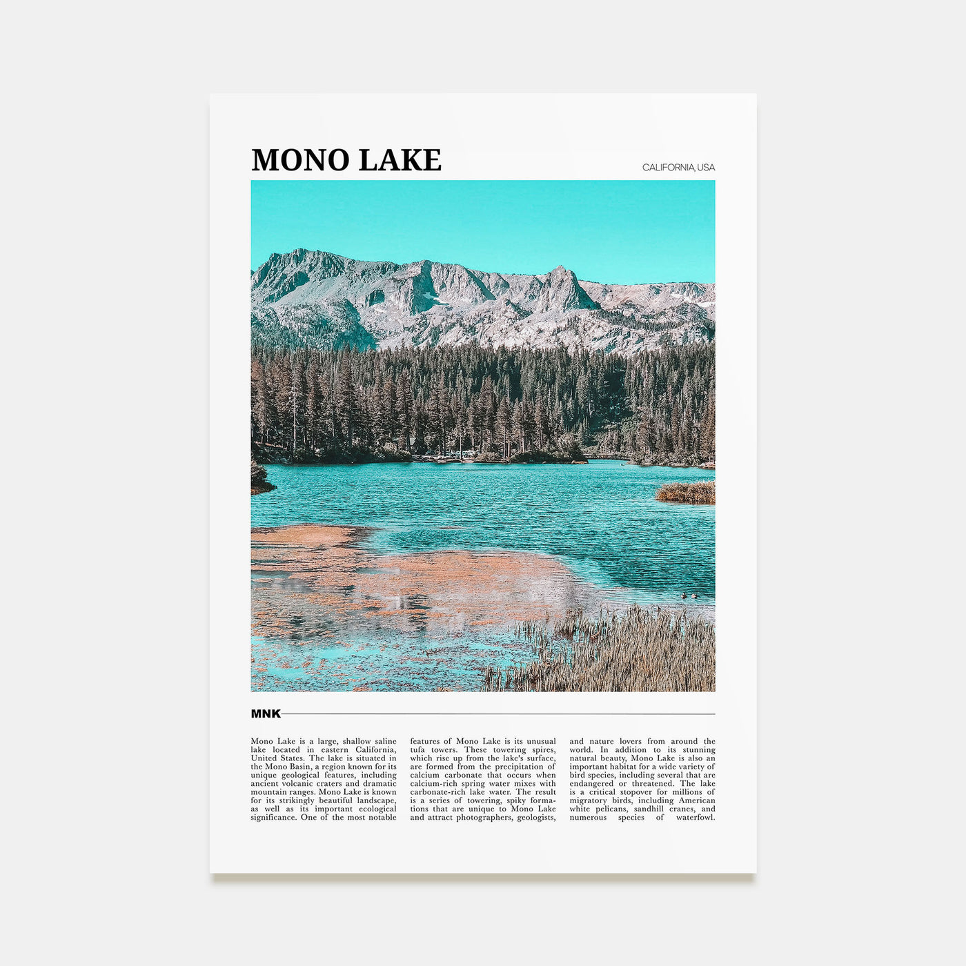 Mono Lake Travel Color Poster