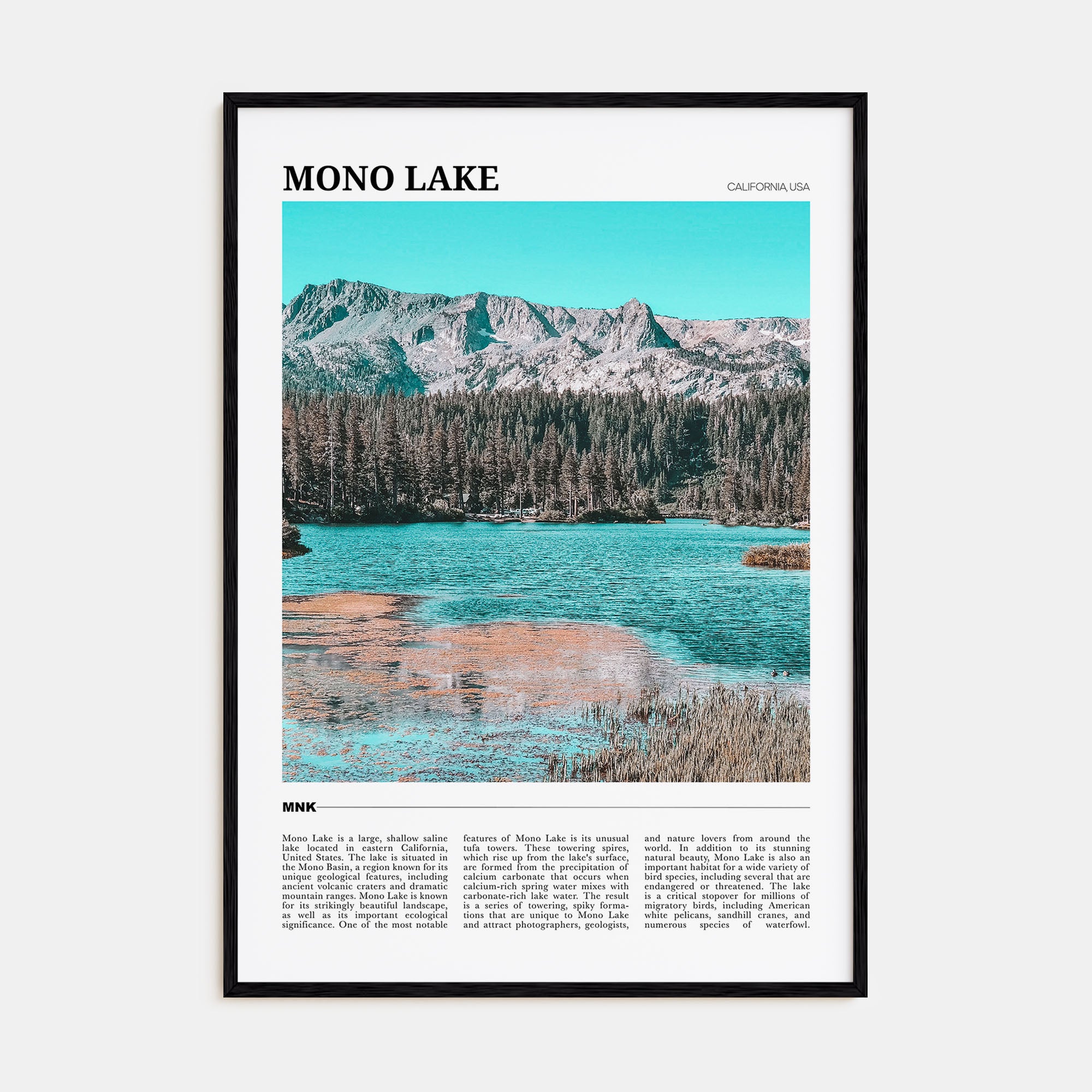 Mono Lake Travel Color Poster