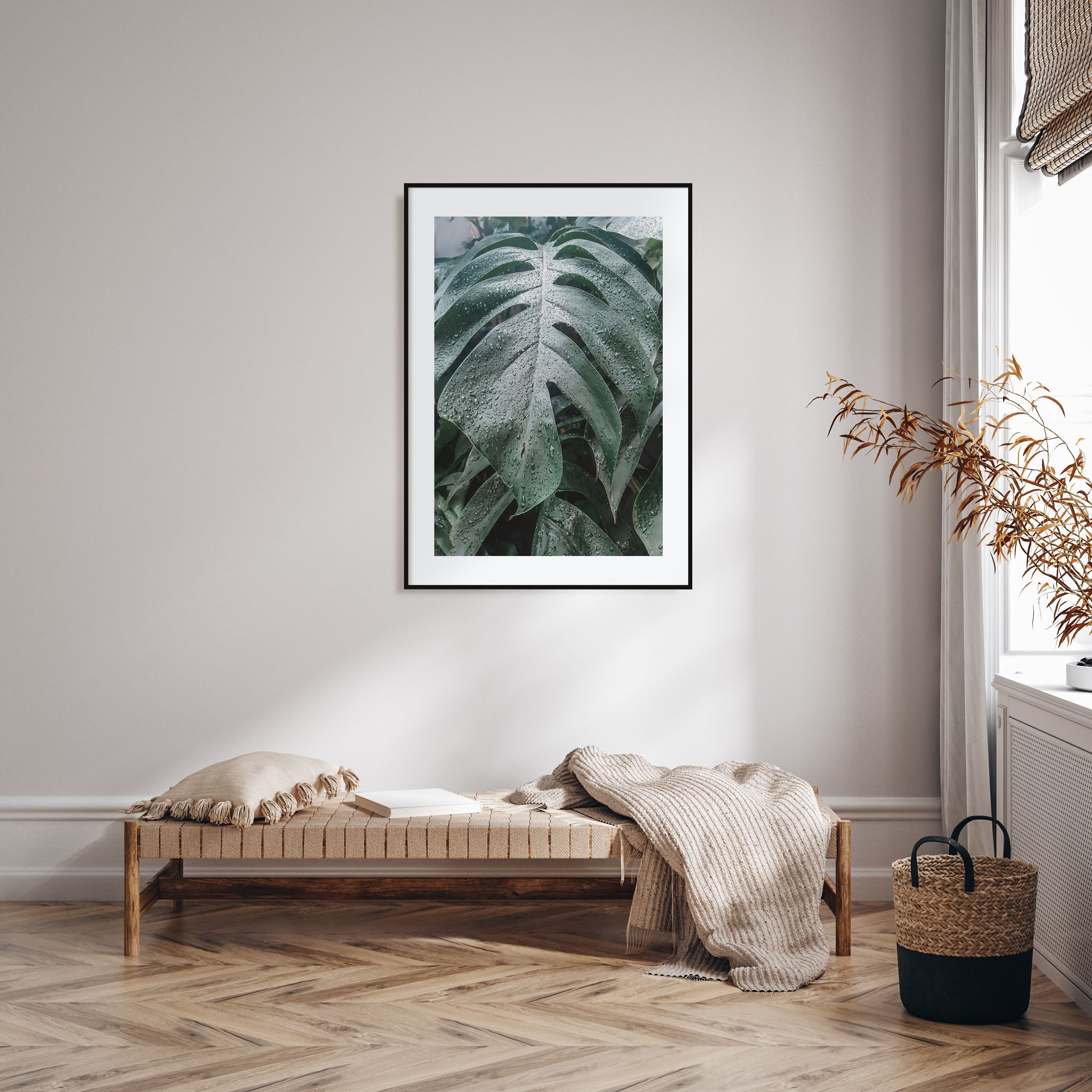 Monstera Leaf Photo Color Poster
