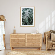 Monstera Leaf Photo Color Poster