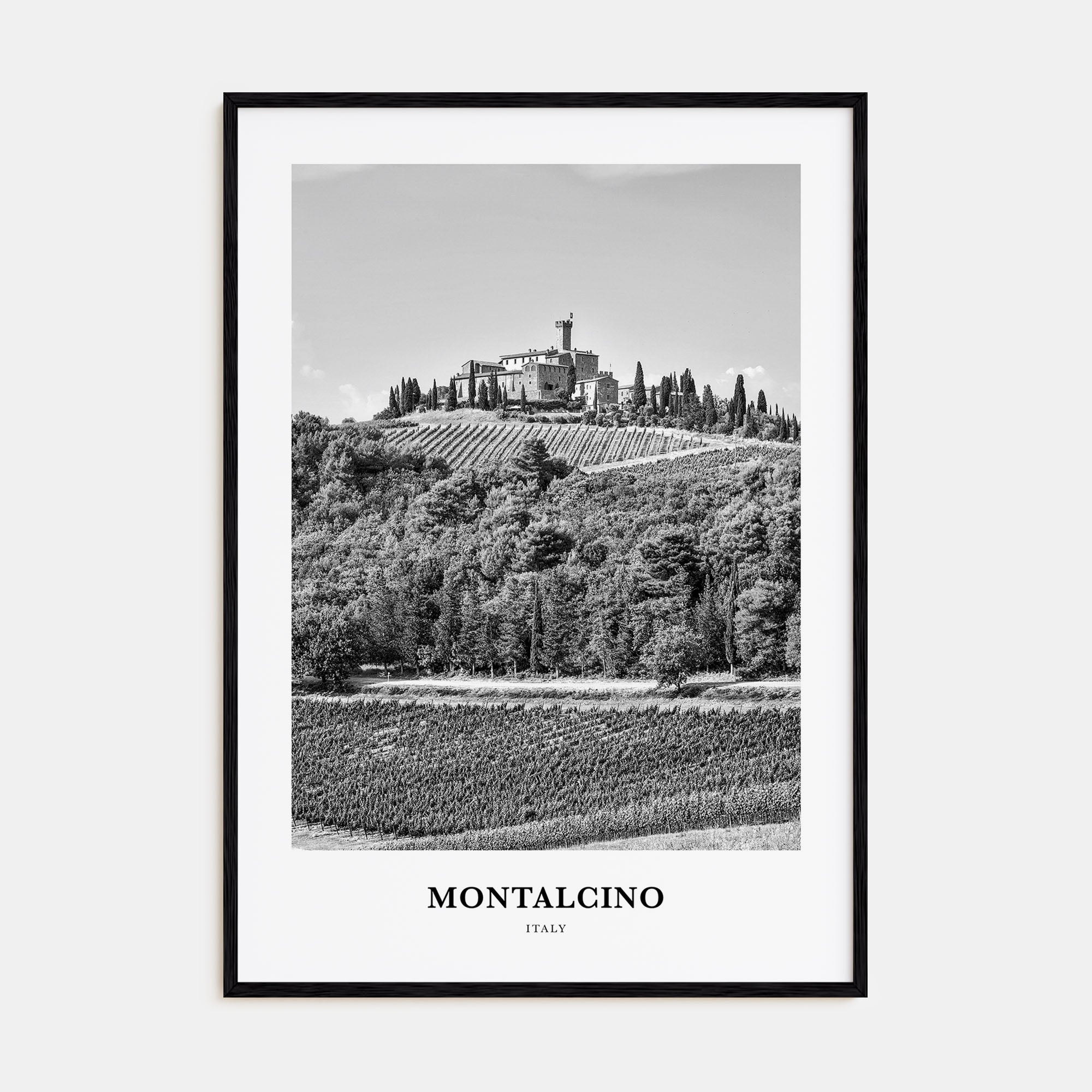 Montalcino Portrait B&W Poster