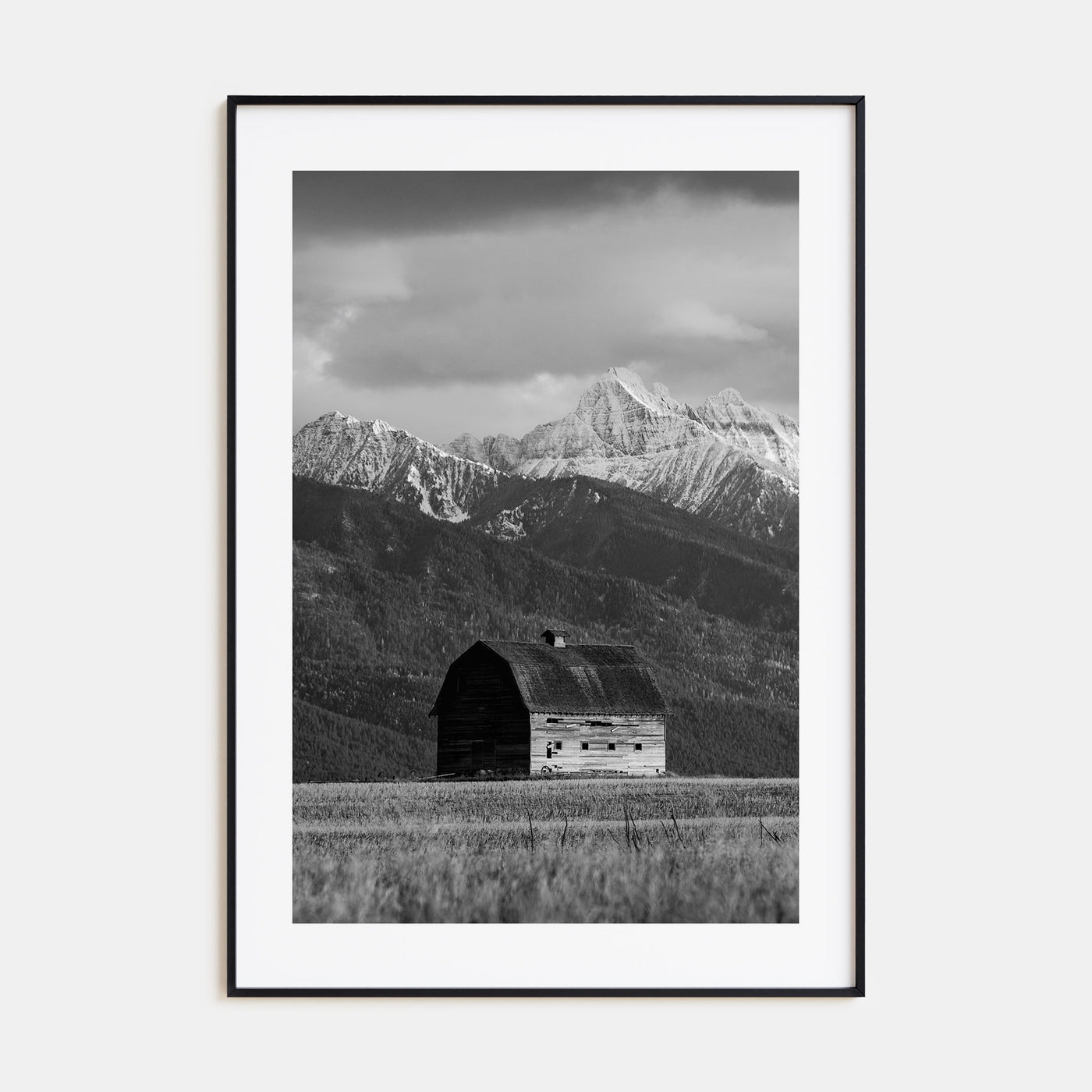 Montana Photo B&W No 1 Poster