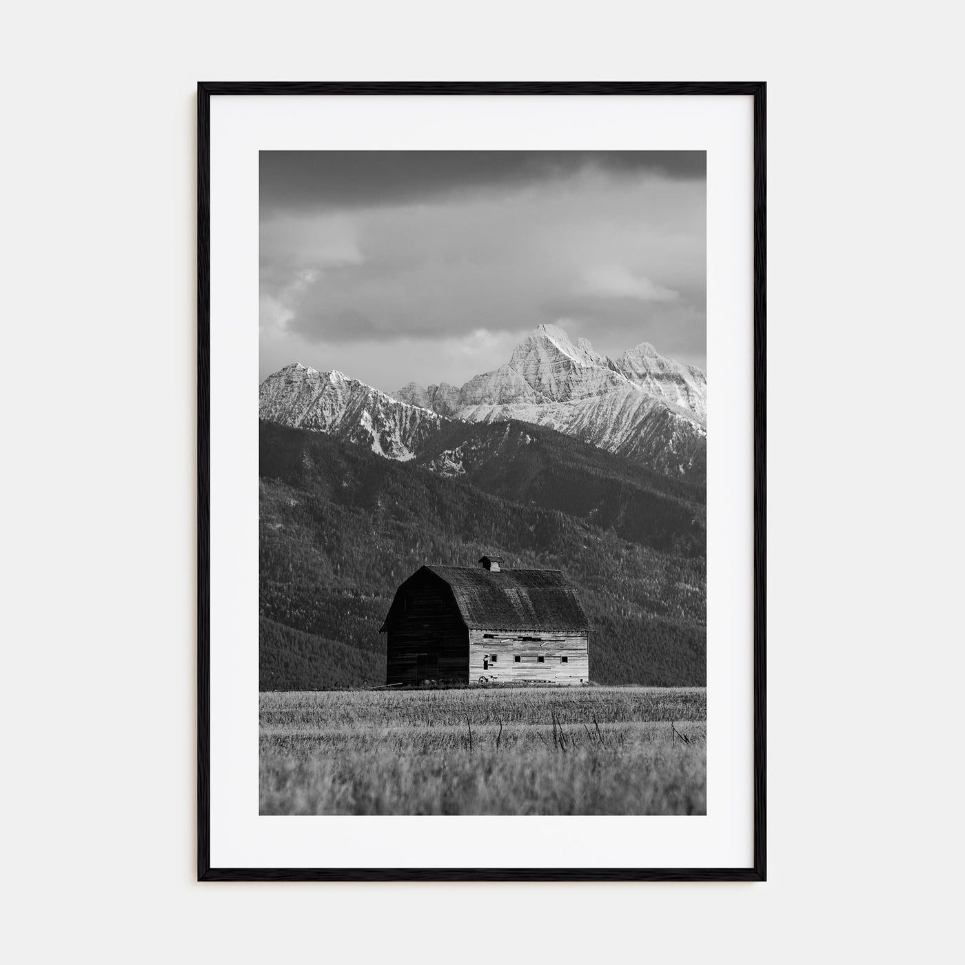 Montana Photo B&W No 1 Poster