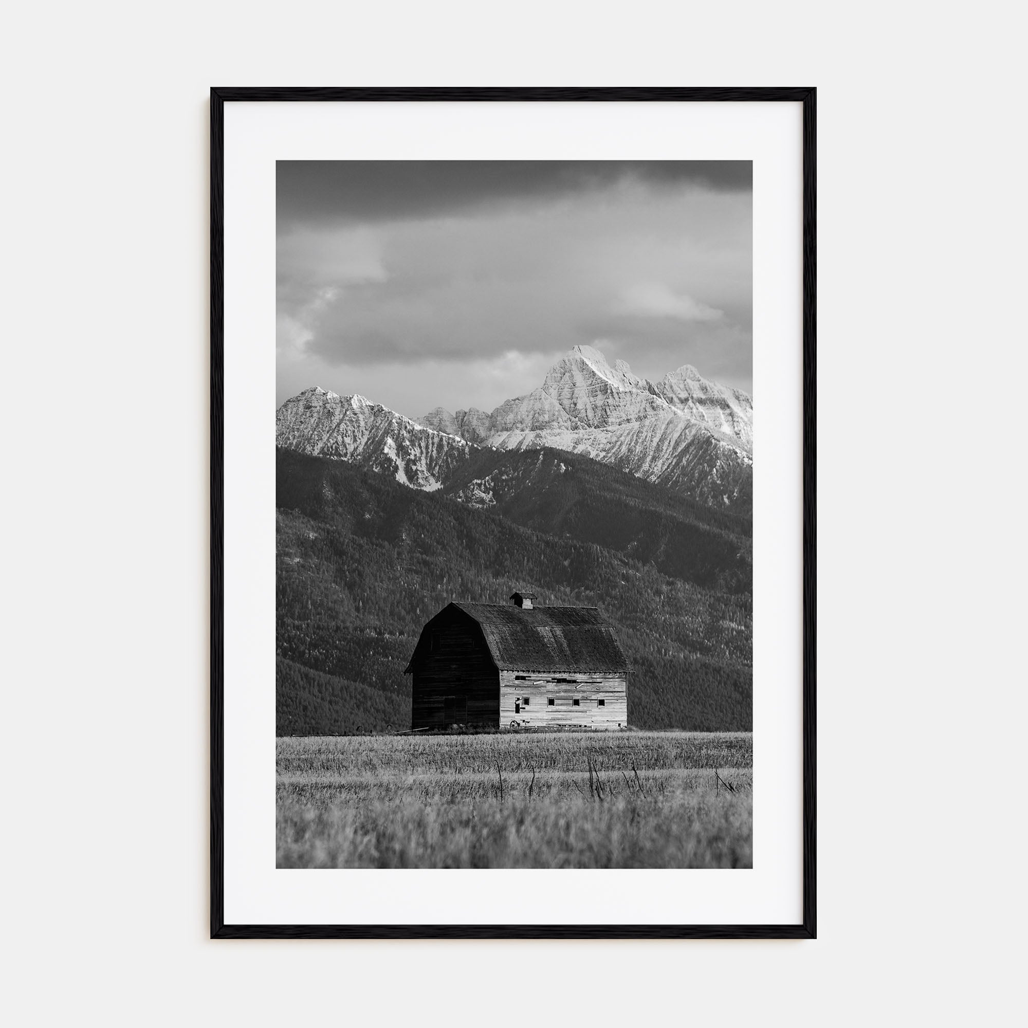 Montana Photo B&W No 1 Poster