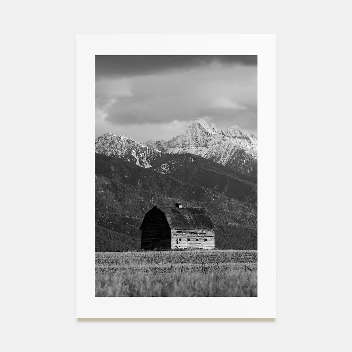 Montana Photo B&W No 1 Poster