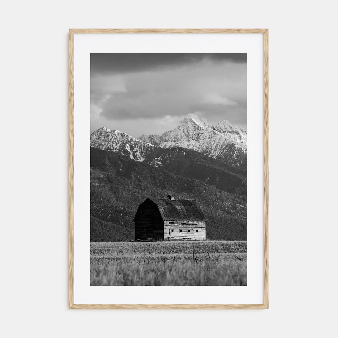 Montana Photo B&W No 1 Poster