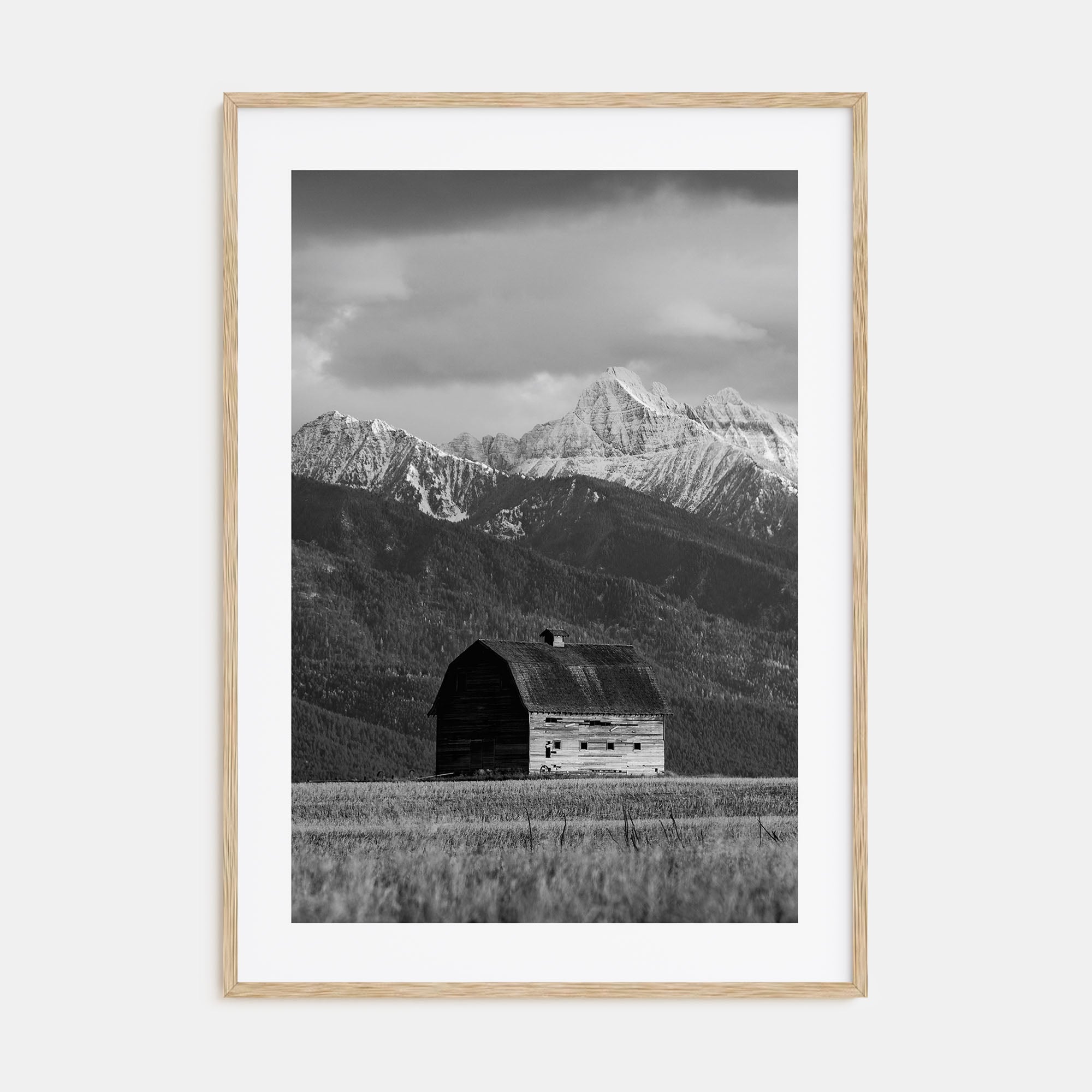 Montana Photo B&W No 1 Poster