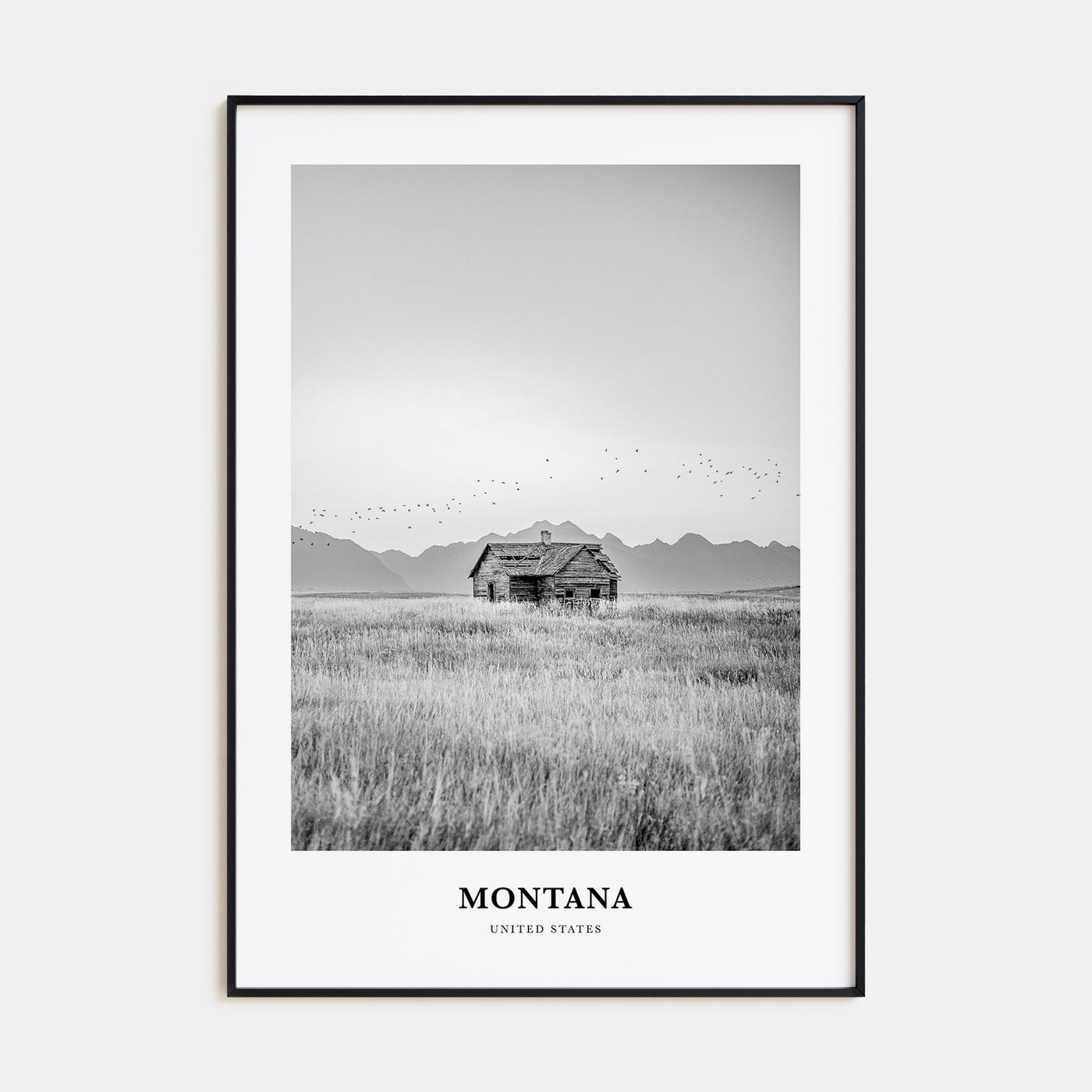 Montana Portrait B&W No 1 Poster