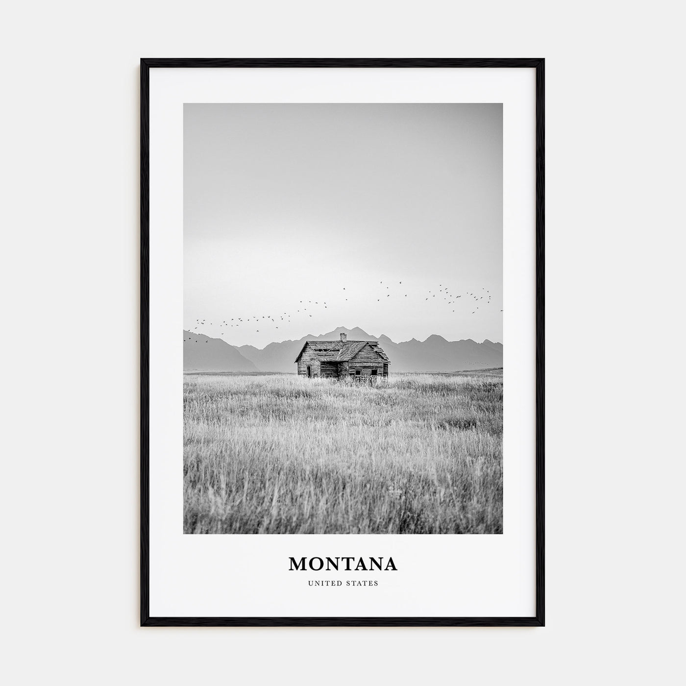 Montana Portrait B&W No 1 Poster