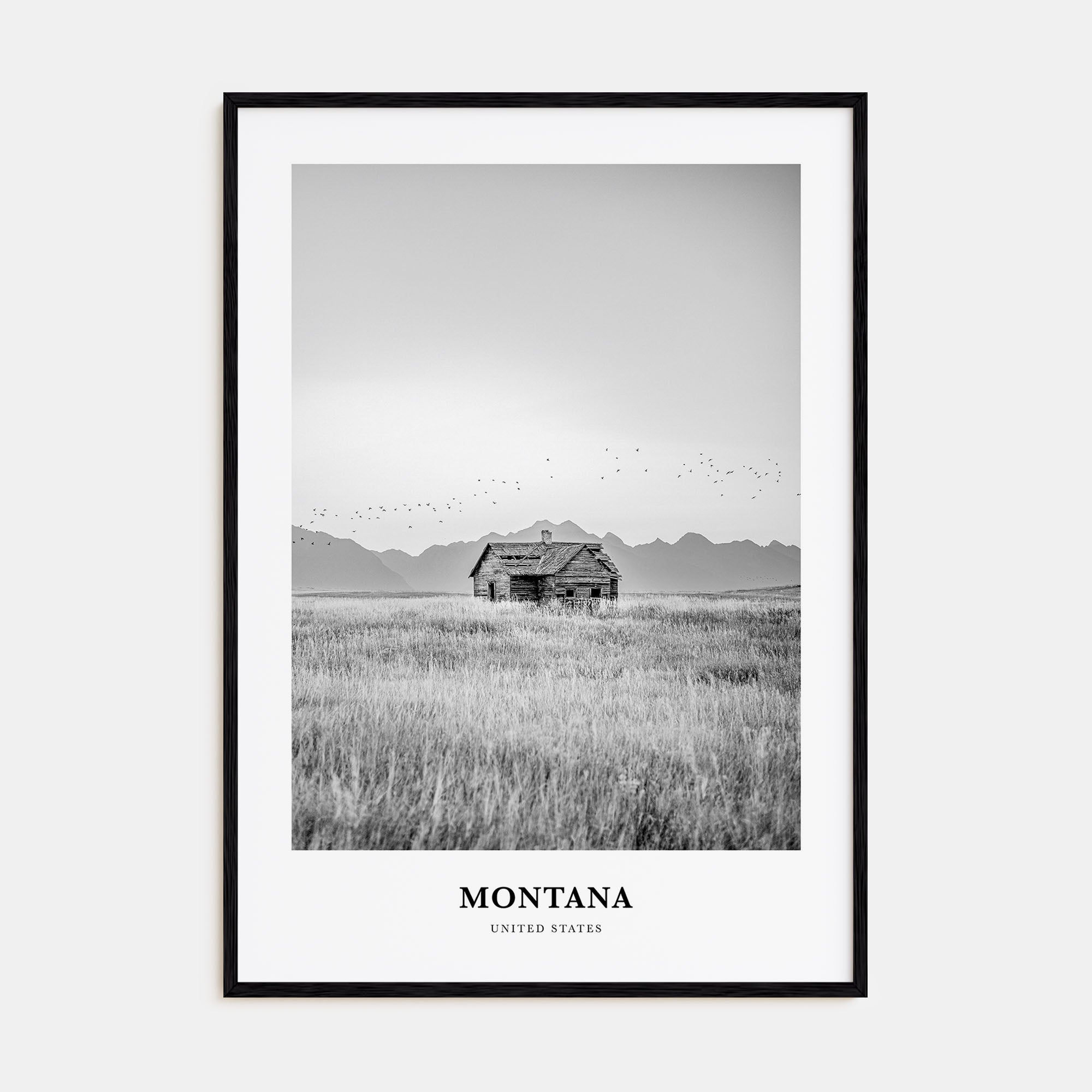 Montana Portrait B&W No 1 Poster