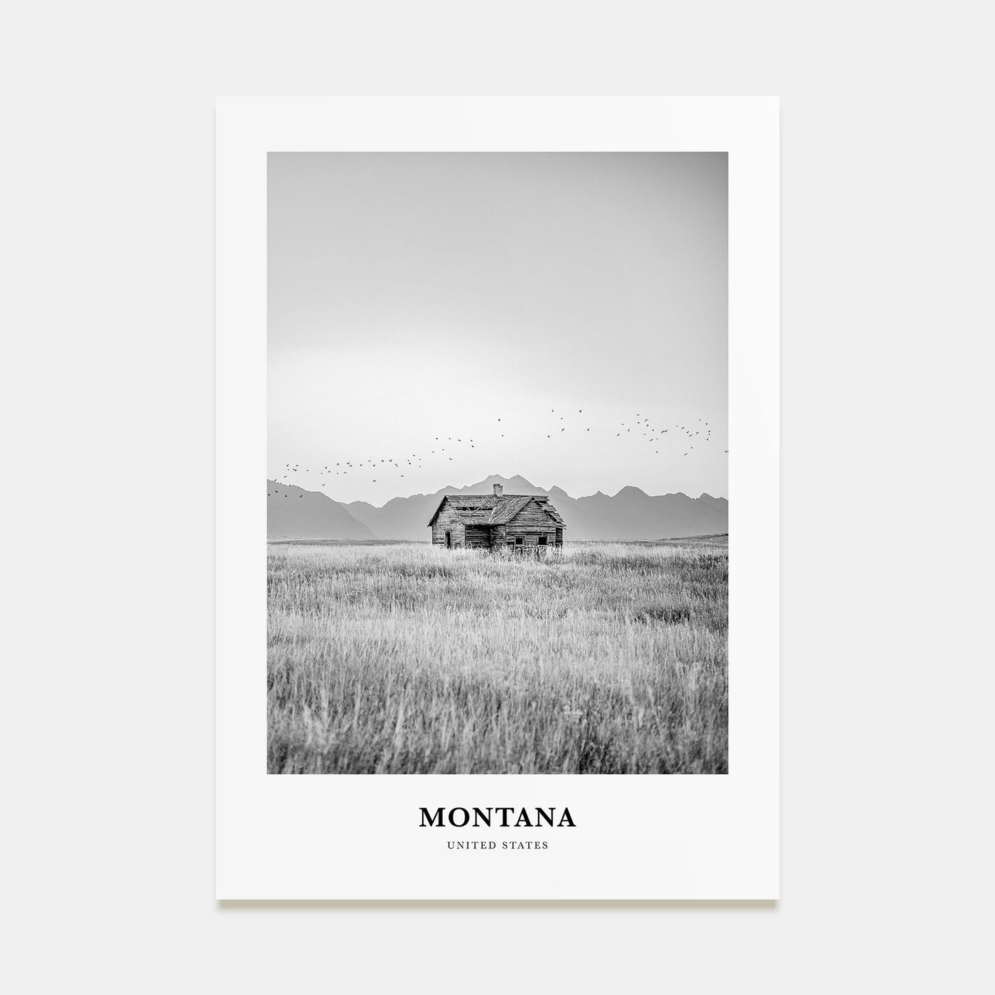Montana Portrait B&W No 1 Poster