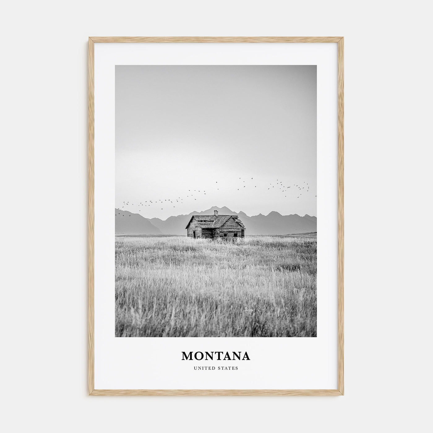 Montana Portrait B&W No 1 Poster